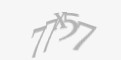 安全码